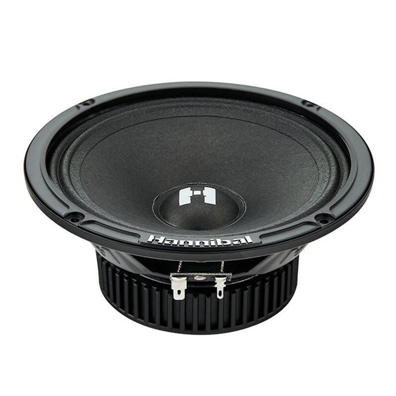 Alphard Hannibal HM-6E+, среднечастотные динамики