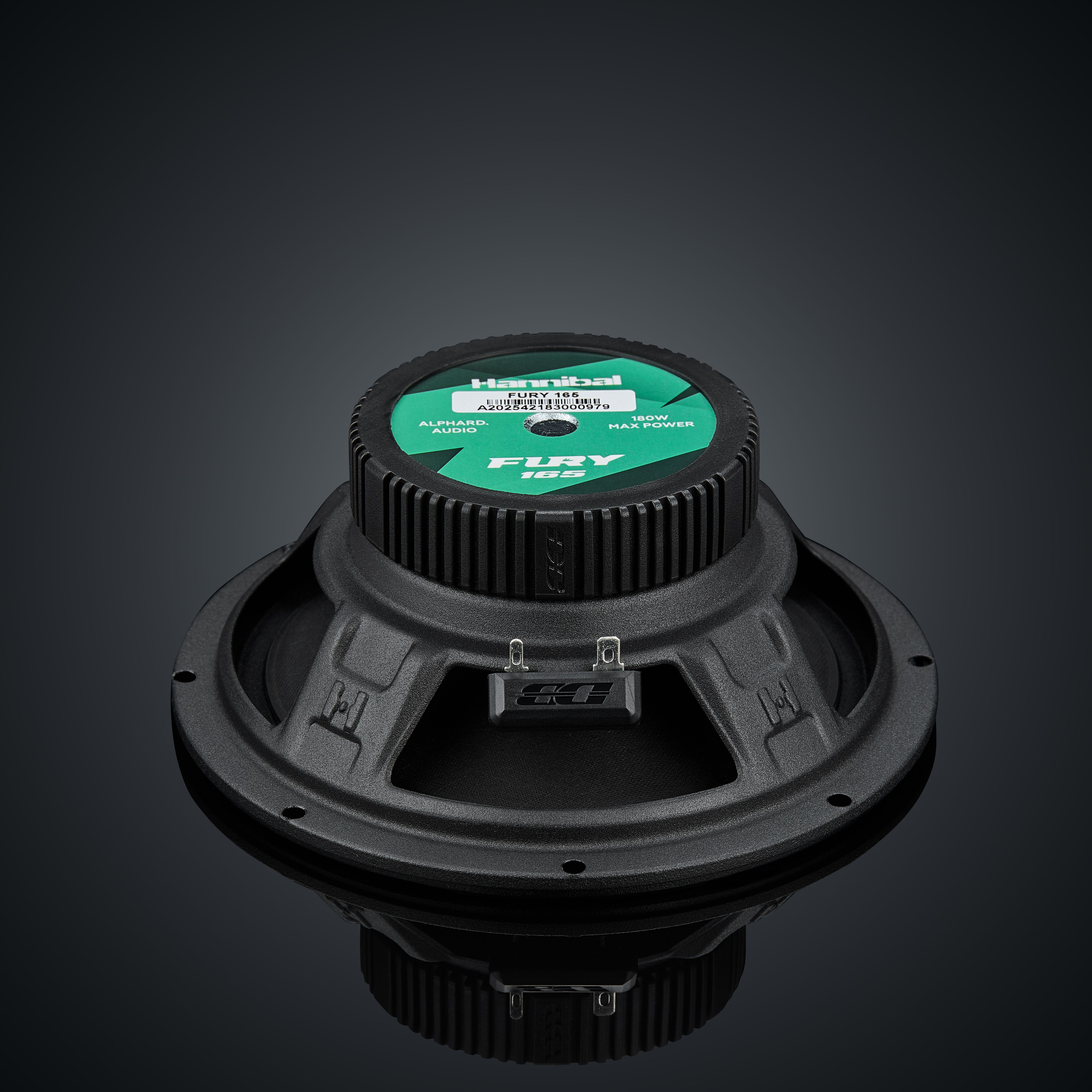 Alphard Hannibal Fury 165 автоакустика