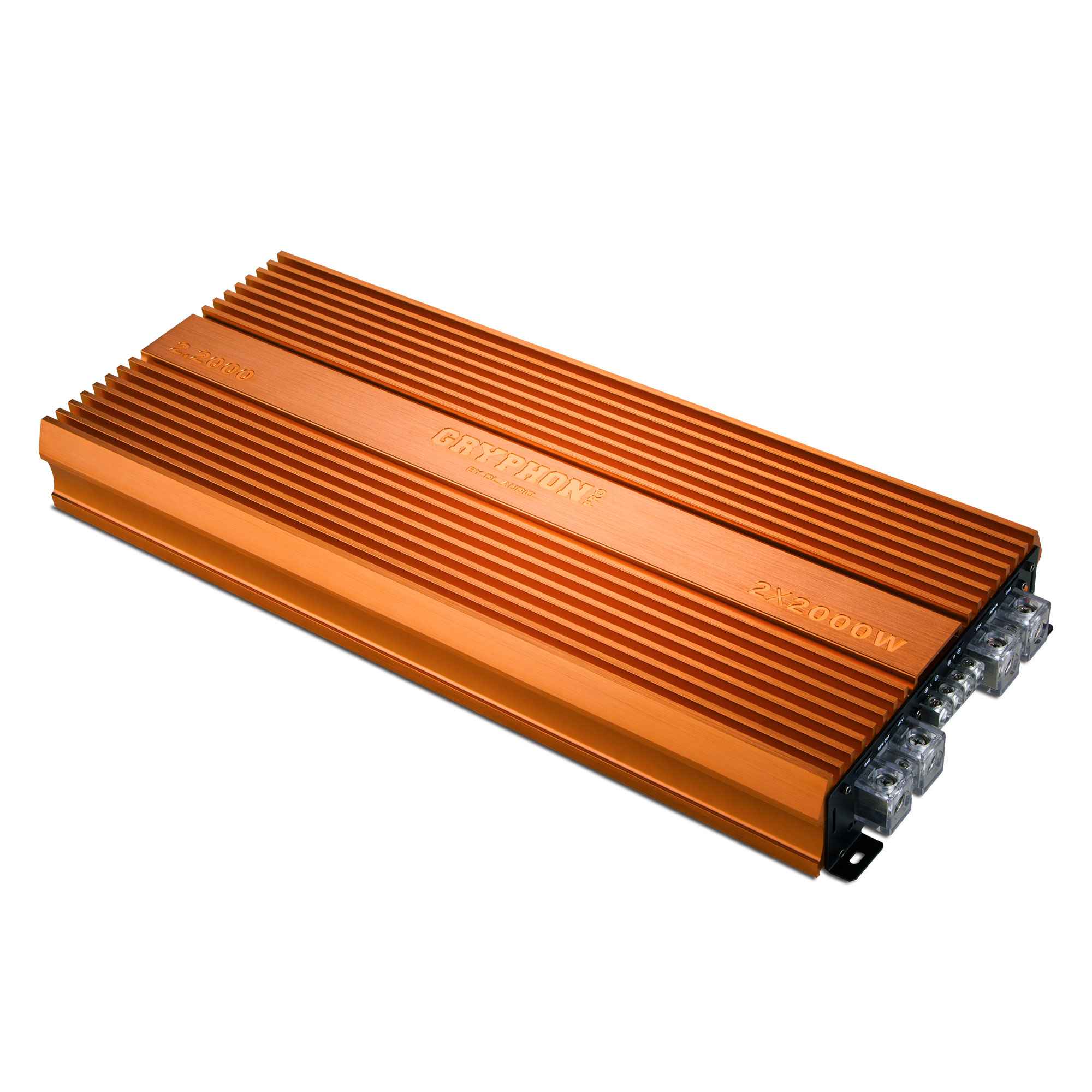 DL Audio Gryphon Pro 2.2000 усилитель