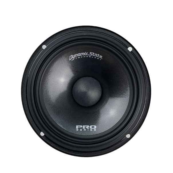 Dynamic State PRO PM-165.3, среднечастотный динамик
