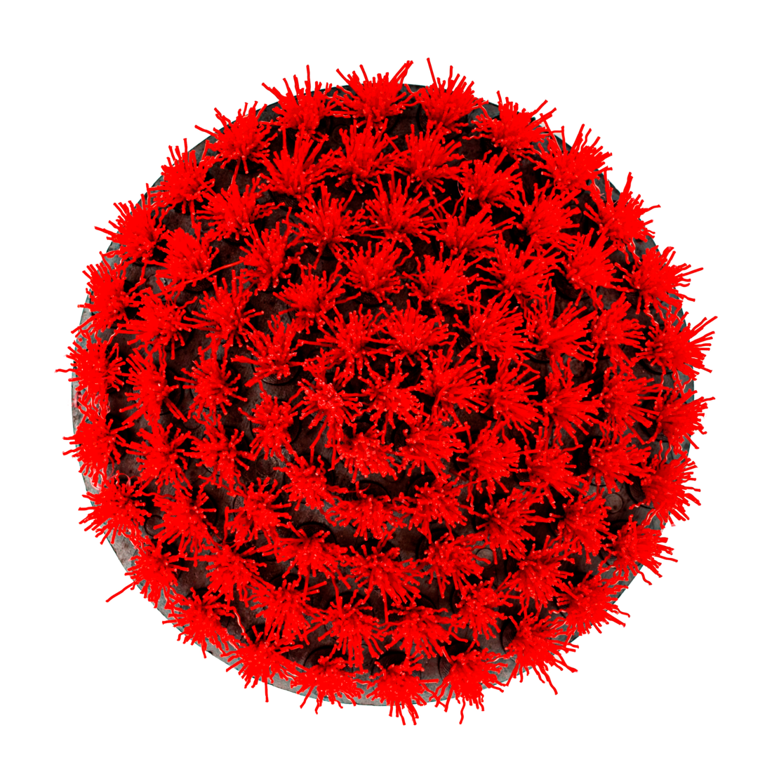 Щетка для чистки текстиля с креплением для дрели, жесткая LERATON DBH