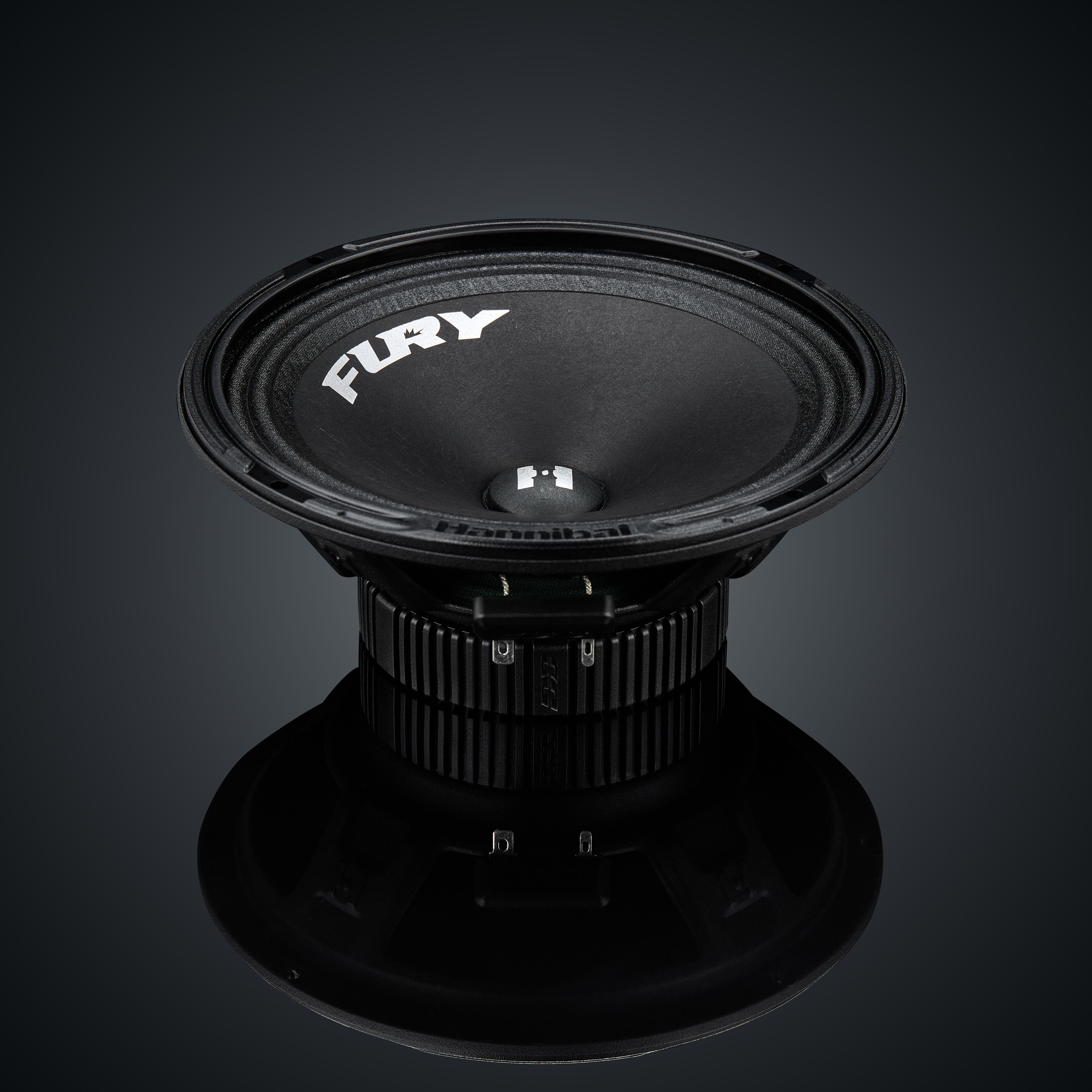 Alphard Hannibal Fury 165 автоакустика