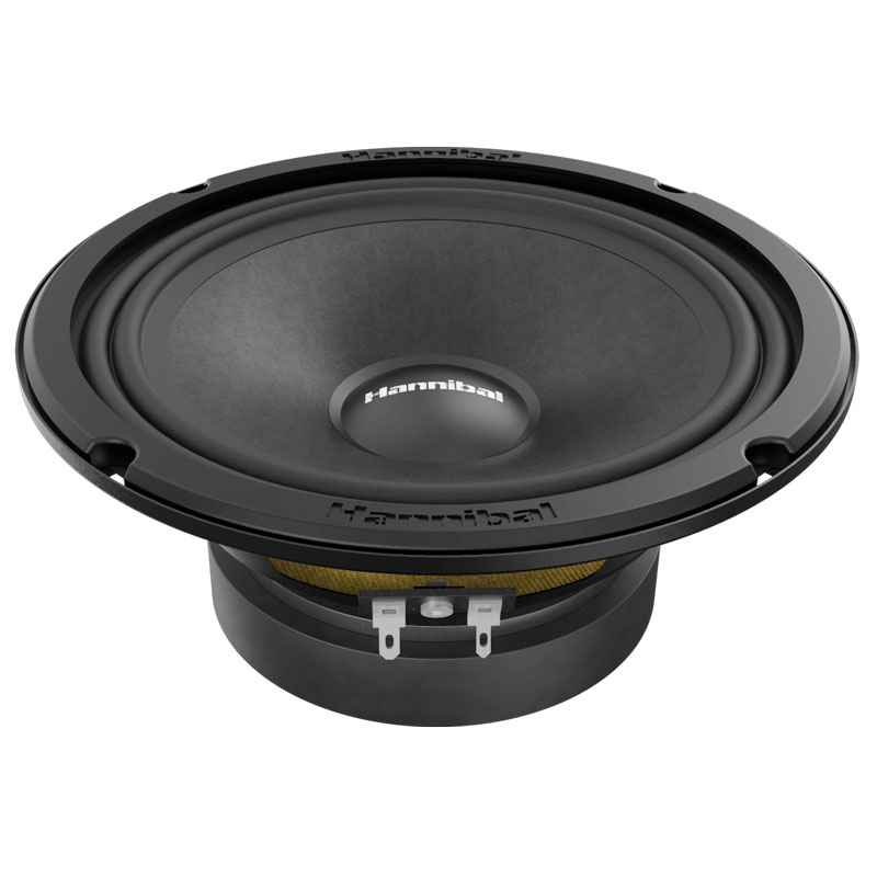 Alphard Hannibal MH-60, среднечастотные динамики Alphard Hannibal MH-60, среднечастотные динамики