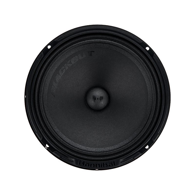 Alphard Hannibal BLACKOUT 165