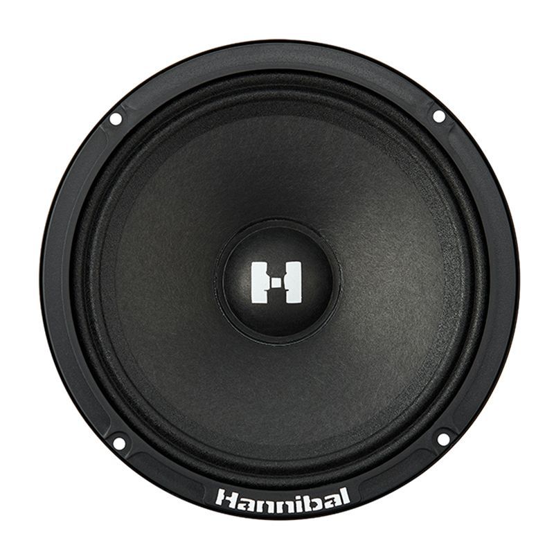 Alphard Hannibal HM-6E PRO, среднечастотные динамики