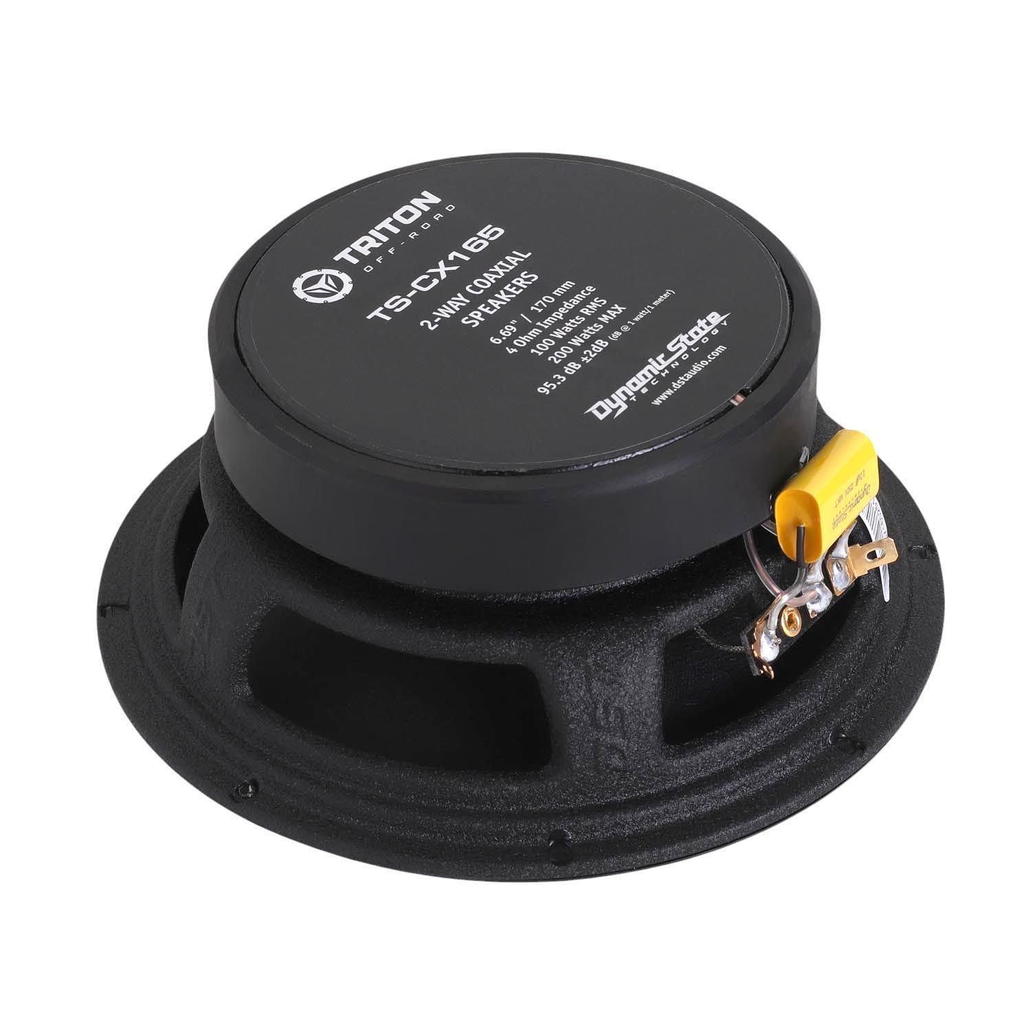 Dynamic State TRITON TS-CX165, коаксиальные динамики