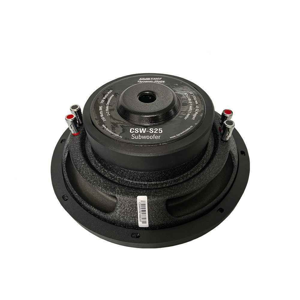 CSW-S25
