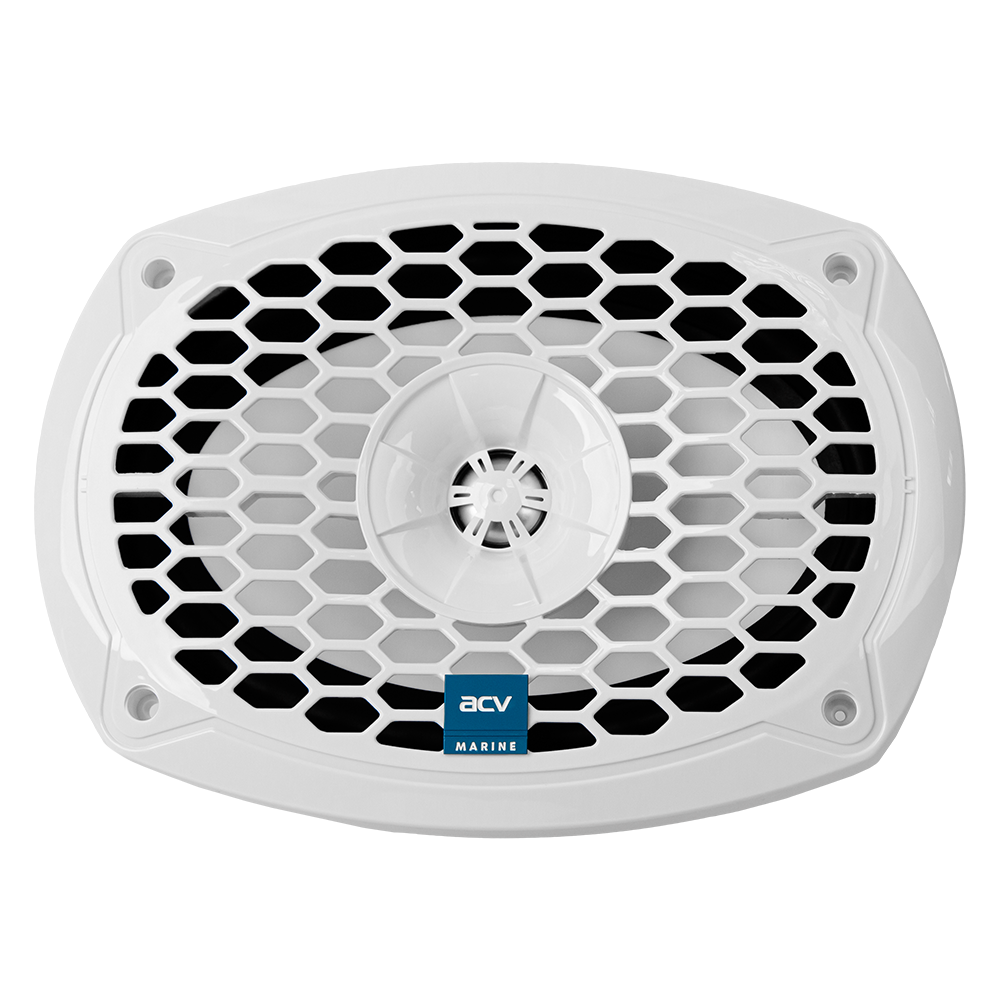 ACV M69W влагозащищенные динамики