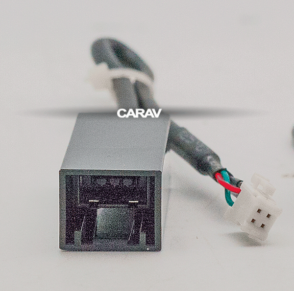 CARAV 16-010