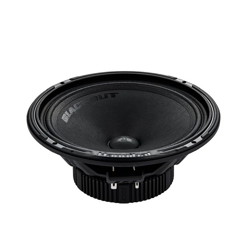 Alphard Hannibal BLACKOUT 165