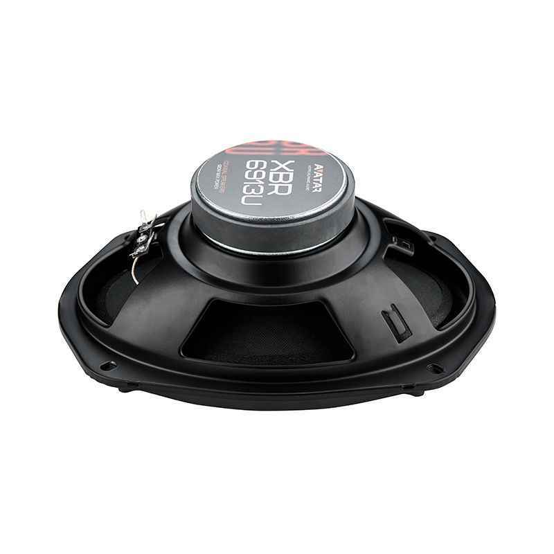 Avatar XBR-6913U, коаксиальные динамики