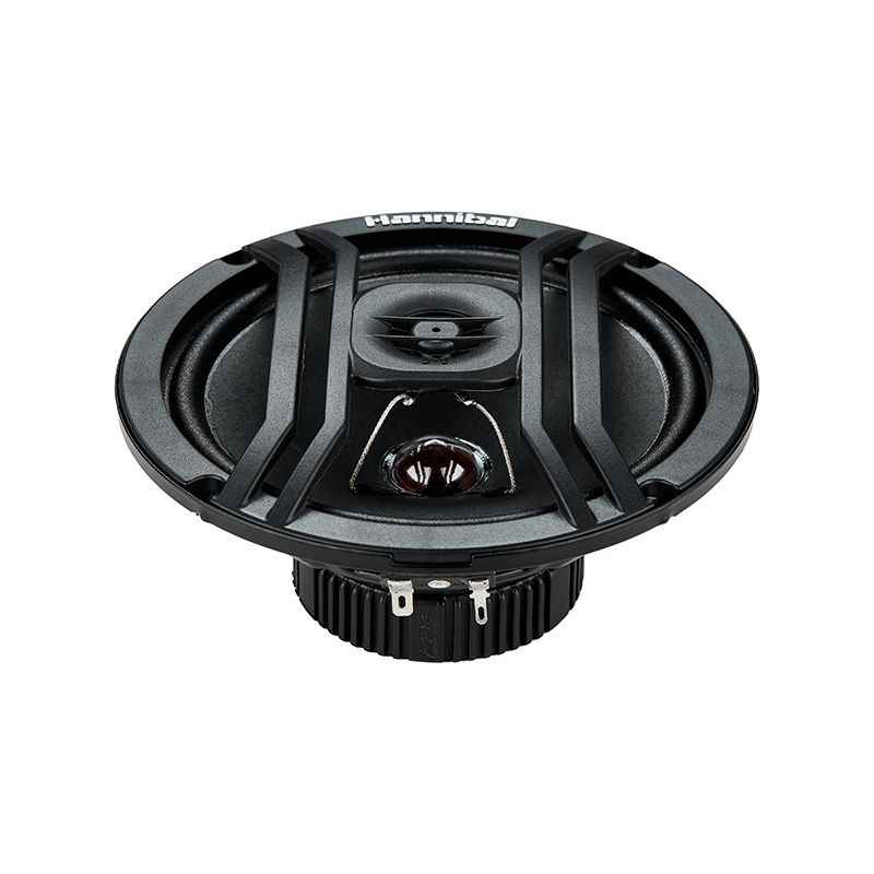 Alphard Hannibal HX-60, коаксиальные динамики