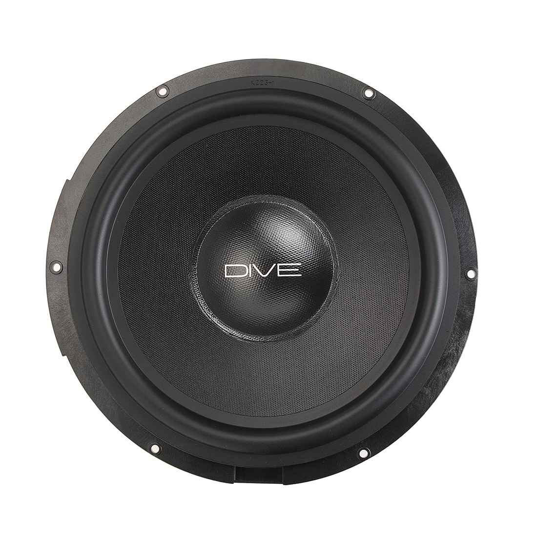 Dynamic State DIVE DAU-W250 сабвуфер