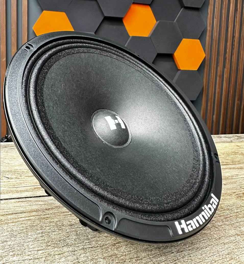 Alphard Hannibal HM-8E+, среднечастотные динамики