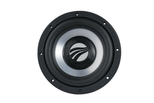 Rainbow SL-SW10.D4 10 Inch Dual Voice Coil Subwoofer