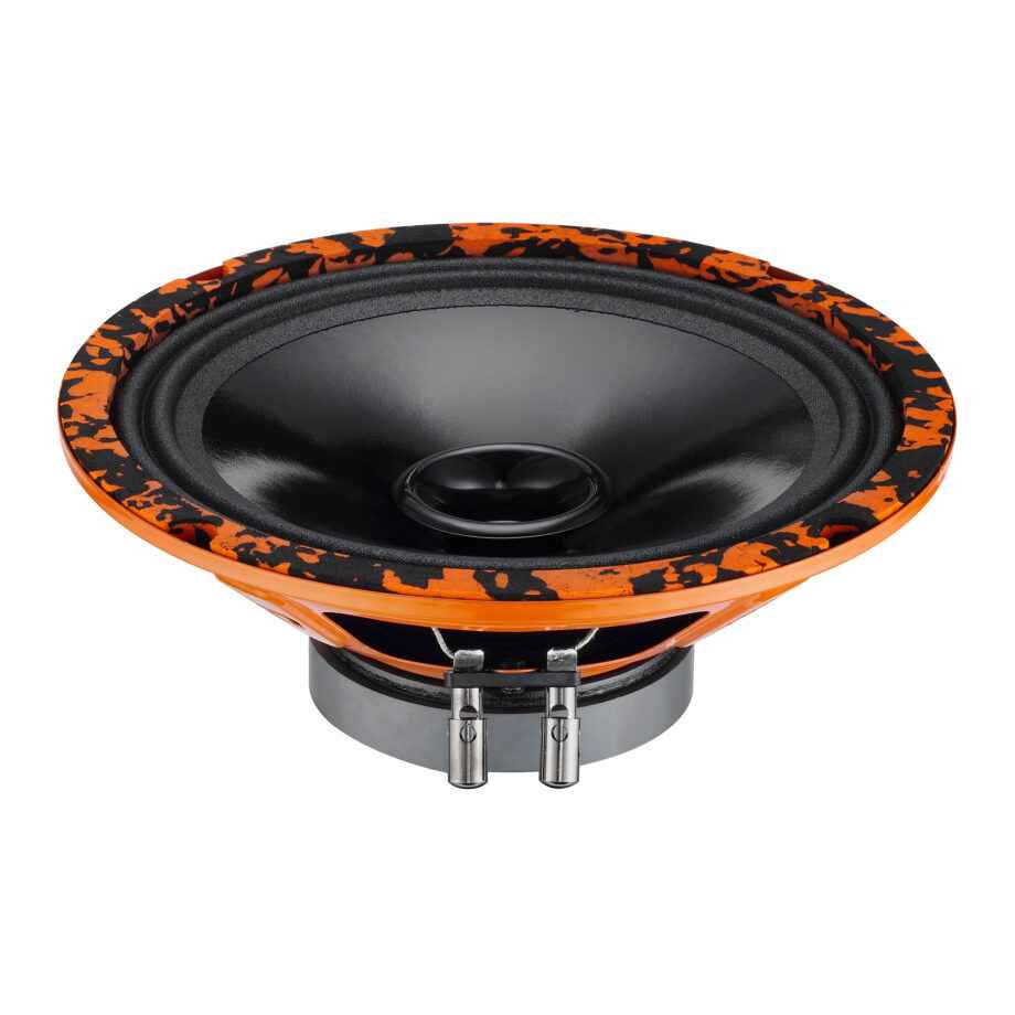 Акус. сист. DL Audio Gryphon Lite 200