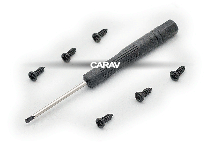 CARAV S-100