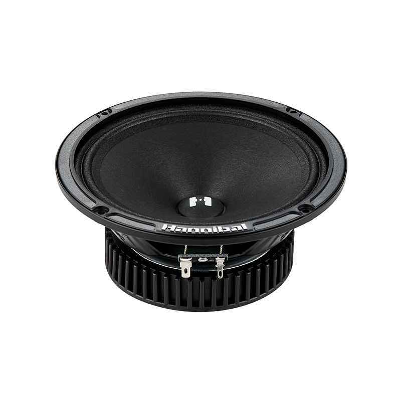 Alphard Hannibal HM-60 PRO, среднечастотные динамики