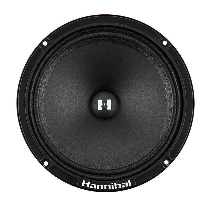 Alphard Hannibal HM-60 PRO, среднечастотные динамики