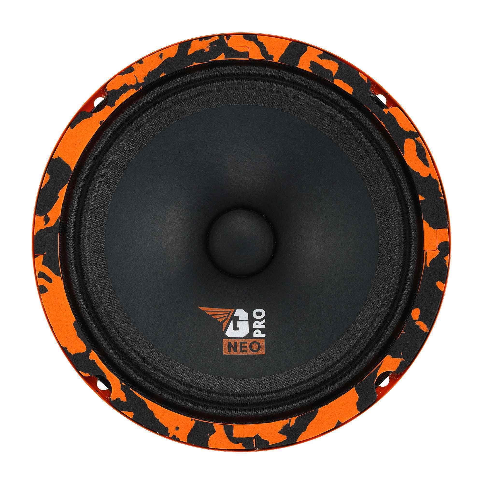 DL Audio Gryphon Pro 165 NEO DL Audio Gryphon Pro 165 NEO