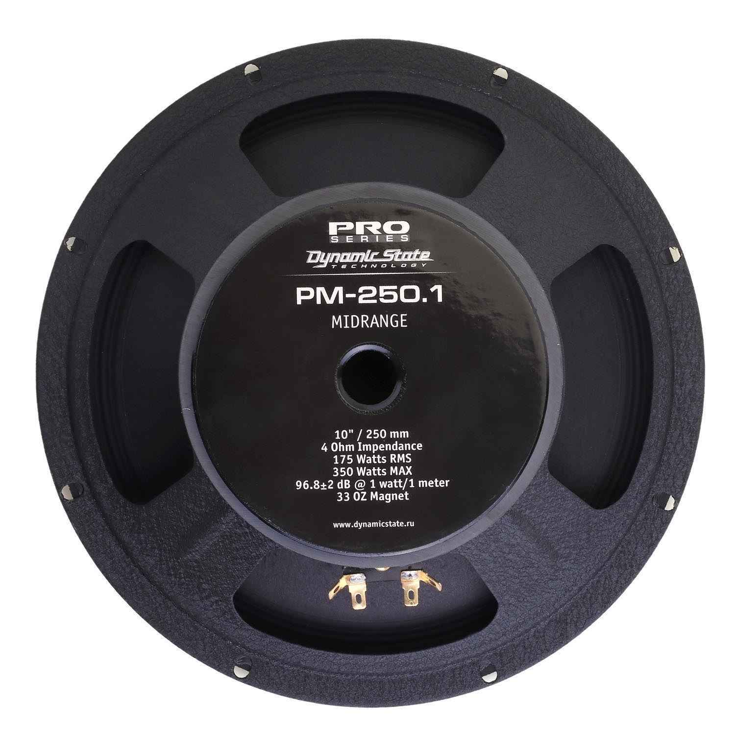 Dynamic State PRO PM-250.1, среднечастотный динамик
