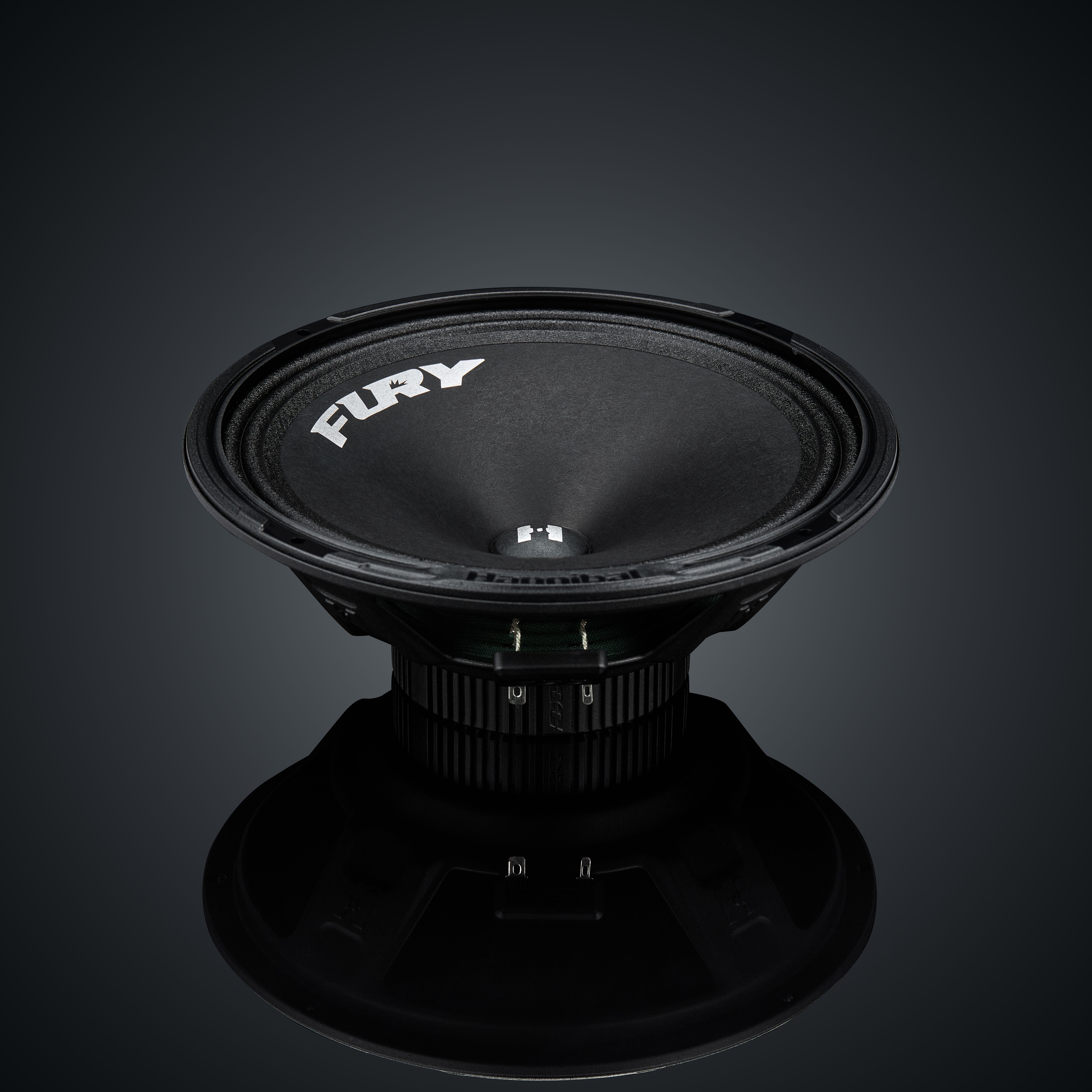 Alphard Hannibal Fury 200 автоакустика