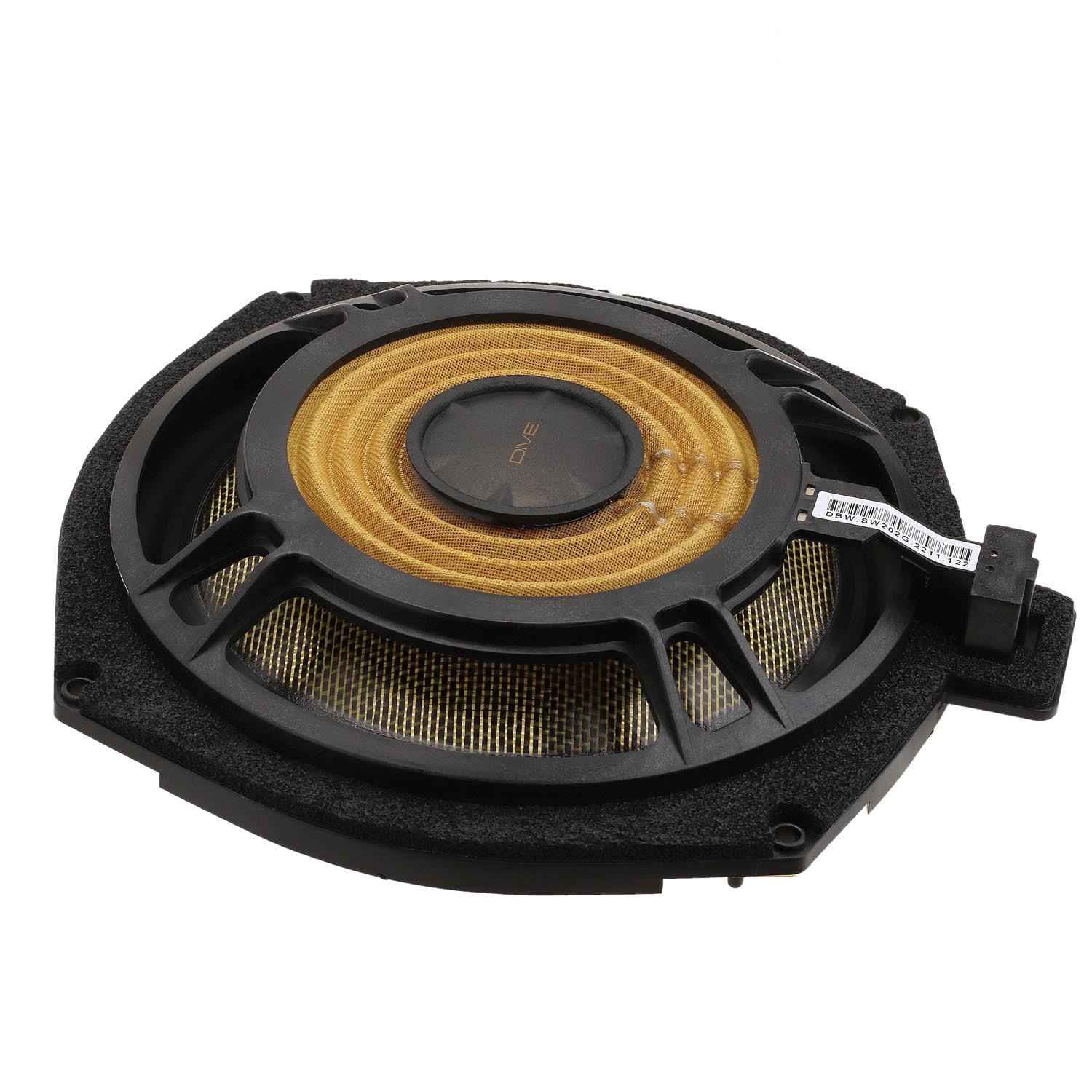 Dynamic State DBW-SW202G DIVE Series