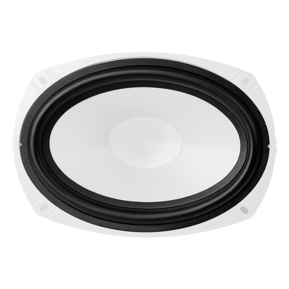 ACV M69W влагозащищенные динамики