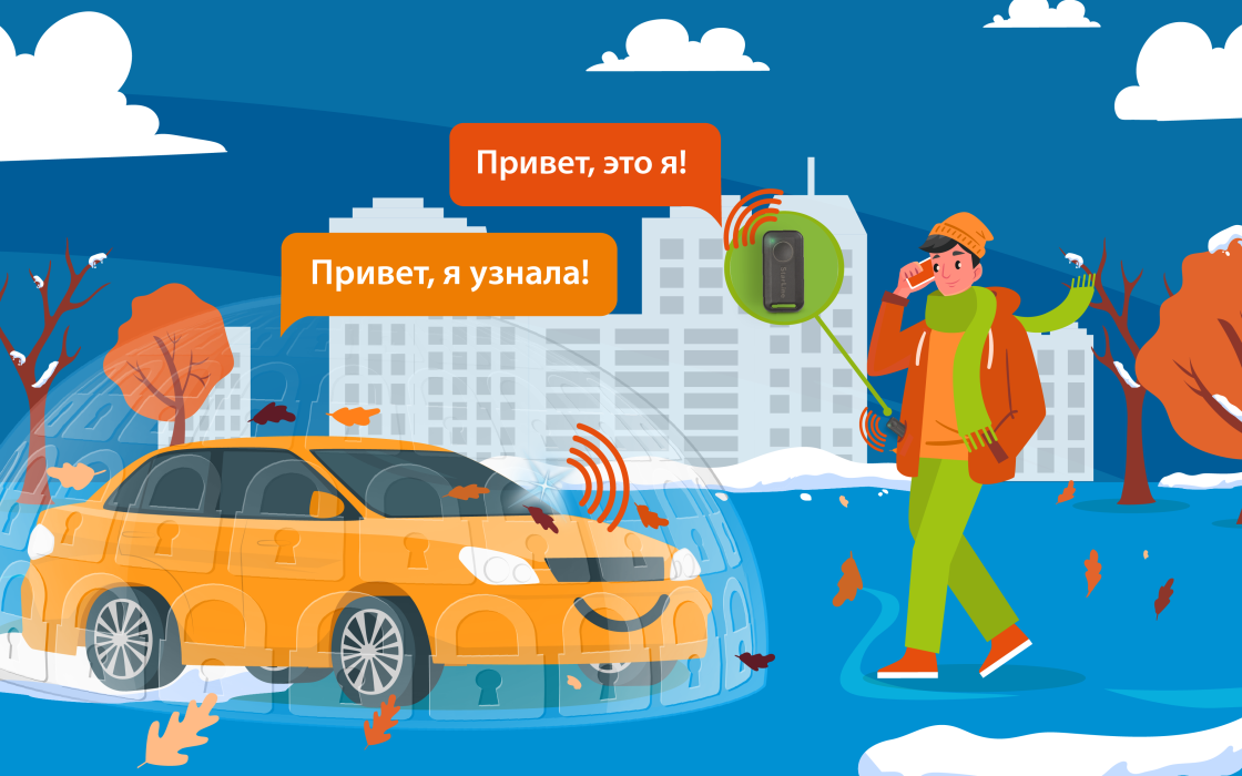Авторизация владельца