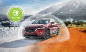 Устойчивость к суровому климату