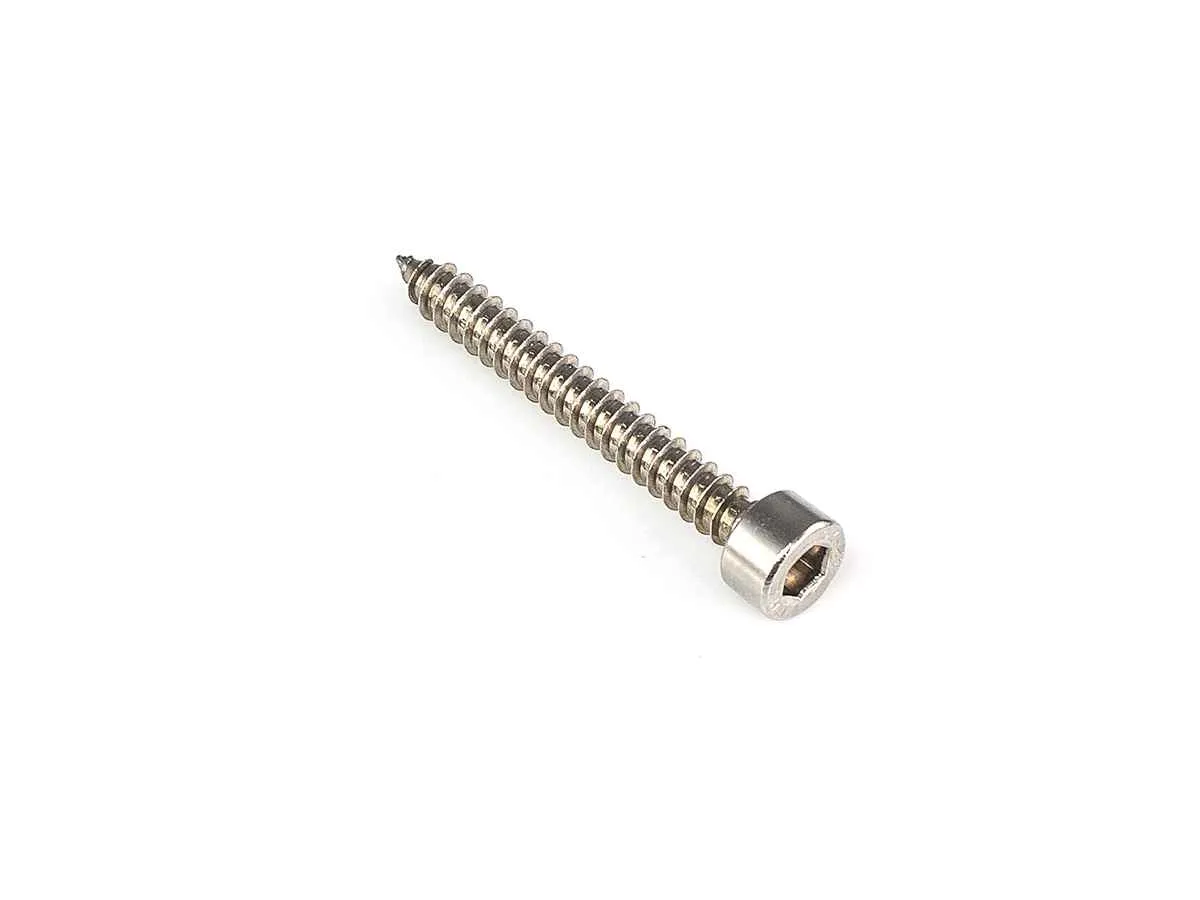 Aura WGS-4838 Саморез с шестигранной головкой (DIN 912) 4,8мм, 38мм (1шт) Aura WGS-4838 Саморез с шестигранной головкой (DIN 912) 4,8мм, 38мм (1шт)