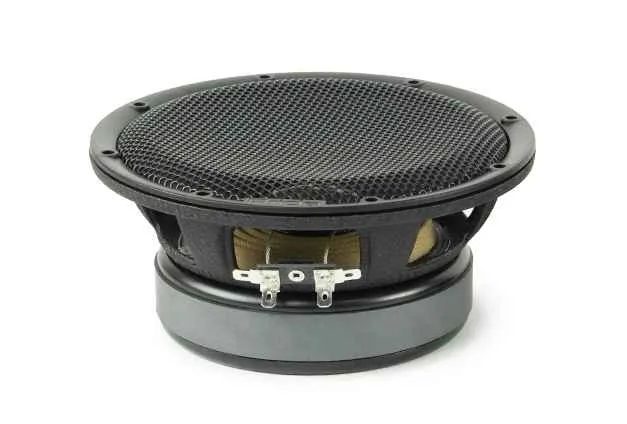 Pride Ruby Pride Ruby